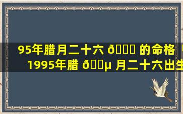 95年腊月二十六 🐛 的命格「1995年腊 🐵 月二十六出生到今天是多大」